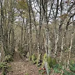 Casa Carmina: Casa Pequenos Grupos En El Corazon De Galicia Дом отдыха *