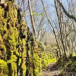 Дом отдыха Casa Carmina: Casa Pequenos Grupos En El Corazon De Galicia *