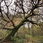 Casa Carmina: Casa Pequenos Grupos En El Corazon De Galicia Дом отдыха O Irixo