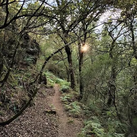 Casa Carmina: Casa Pequenos Grupos En El Corazon De Galicia