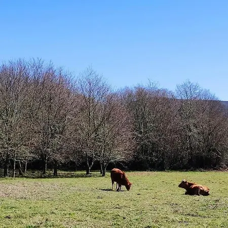 Casa Carmina: Casa Pequenos Grupos En El Corazon De Galicia Vakantiehuis O Irixo