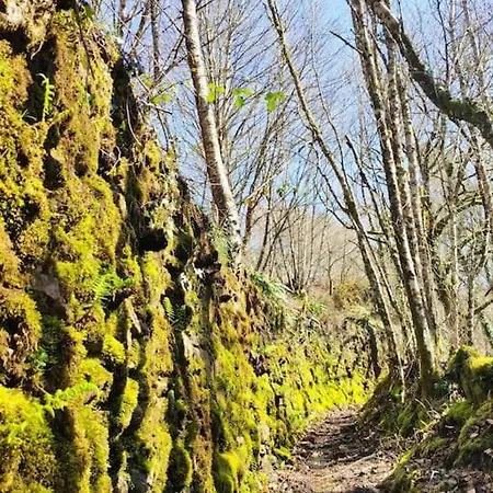 Vakantiehuis Casa Carmina: Casa Pequenos Grupos En El Corazon De Galicia *